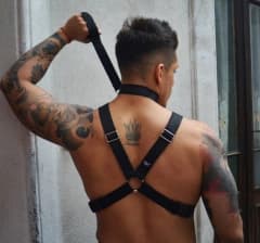 Arnés Pet