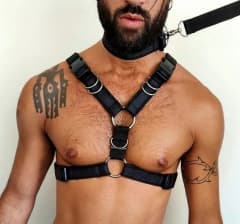 Arnés Pet